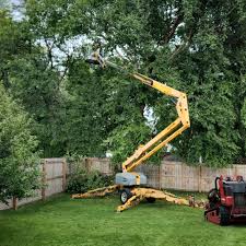 Best Weed Control  in Clay, AL