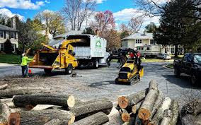 Best Lawn Mowing  in Clay, AL