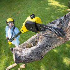 Artificial Turf Installation in Clay, AL